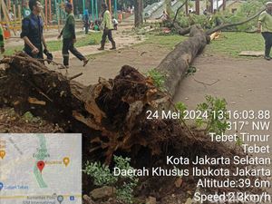 Wanita Tertimpa Pohon Tumbang di Tebet Eco Park Saat Coba Selamatkan Anaknya