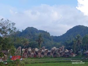 Menikmati Kopi Toraja di Tanahnya Tumbuh Menikmati Kopi Toraja di Tanahnya Tumbuh
