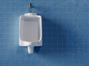 Pernah Lihat Lalat di Urinoir Toilet Pria? Ternyata Bikin Toilet Bersih! Pernah Lihat Lalat di Urinoir Toilet Pria? Ternyata Bikin Toilet Bersih!