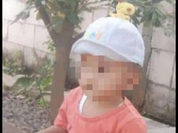 6 Fakta Memilukan soal Balita di Sidoarjo Tewas Terlindas Fortuner