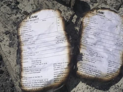 Rumah Sakit di India Kebakaran, 7 Bayi Baru Lahir Tewas