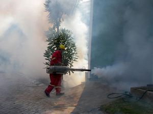 Fogging untuk Cegah DBD di Sidoarjo Fogging untuk Cegah DBD di Sidoarjo