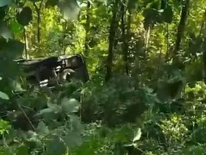 Ini Penyebab Elf Masuk Jurang Pletes Malang Ini Penyebab Elf Masuk Jurang Pletes Malang