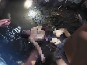 Pria Lombok Tengah Ditemukan Tewas di Saluran Irigasi