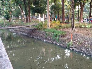 Warga Keluhkan Bau Tak Sedap dari Saluran Air di Tebet Eco Park