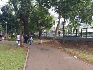 Warga Harap Pohon Rawan Tumbang di Tebet Eco Park Ditebang