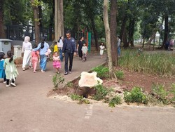 Suasana Tebet Eco Park Usai Pohon Tumbang Timpa Warga-Fasilitas Mulai Rusak