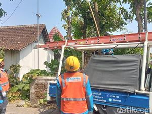 Pangkas Pohon Jati, Warga Juwiring Klaten Tewas Tersetrum