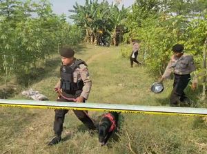 Anjing Pelacak Dikerahkan Ungkap Begal Pasutri Tewaskan Suami di Probolinggo Anjing Pelacak Dikerahkan Ungkap Begal Pasutri Tewaskan Suami di Probolinggo
