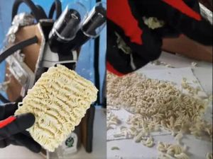 Heboh! Penampakan Organisme Hidup pada Mie Instan Dilihat dari Mikroskop Heboh! Penampakan Organisme Hidup pada Mie Instan Dilihat dari Mikroskop