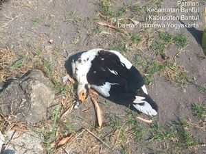 Tragedi Ibu dan Anak Tewas Usai Tabrak Mentok di Bantul