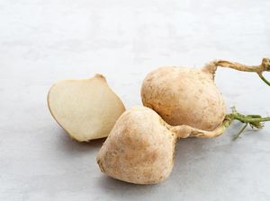 6 Manfaat Buah Bengkoang yang Jarang Diketahui 6 Manfaat Buah Bengkoang yang Jarang Diketahui