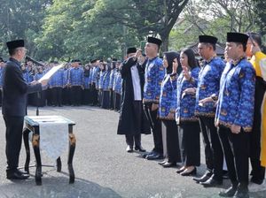 Pendaftaran CPNS Kemenhub 2024 Dibuka, Ini Formasi dan Syarat Daftarnya! Pendaftaran CPNS Kemenhub 2024 Dibuka, Ini Formasi dan Syarat Daftarnya!