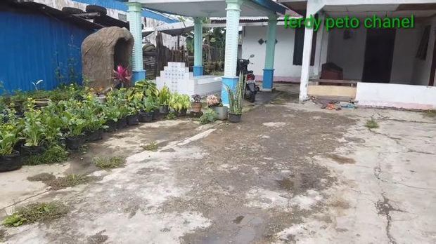 Rumah Betrand Peto di Kampung