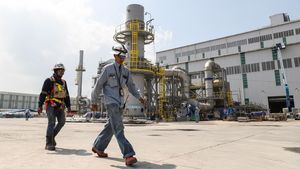 Smelter Freeport di Gresik Siap Beroperasi, Ini Potretnya