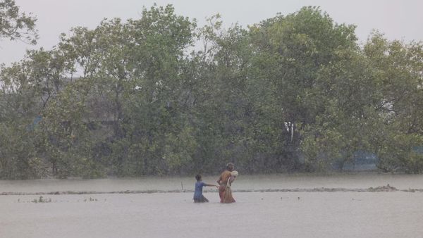 Topan Remal Menerjang Bangladesh, Pohon hingga Tiang Listrik Tumbang