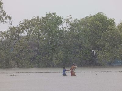 Topan Remal Menerjang Bangladesh, Pohon hingga Tiang Listrik Tumbang