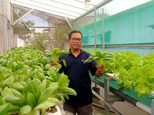 Ngalam Mbois: Slamet Ciptakan Peluang Ekonomi Pertanian di Perkotaan