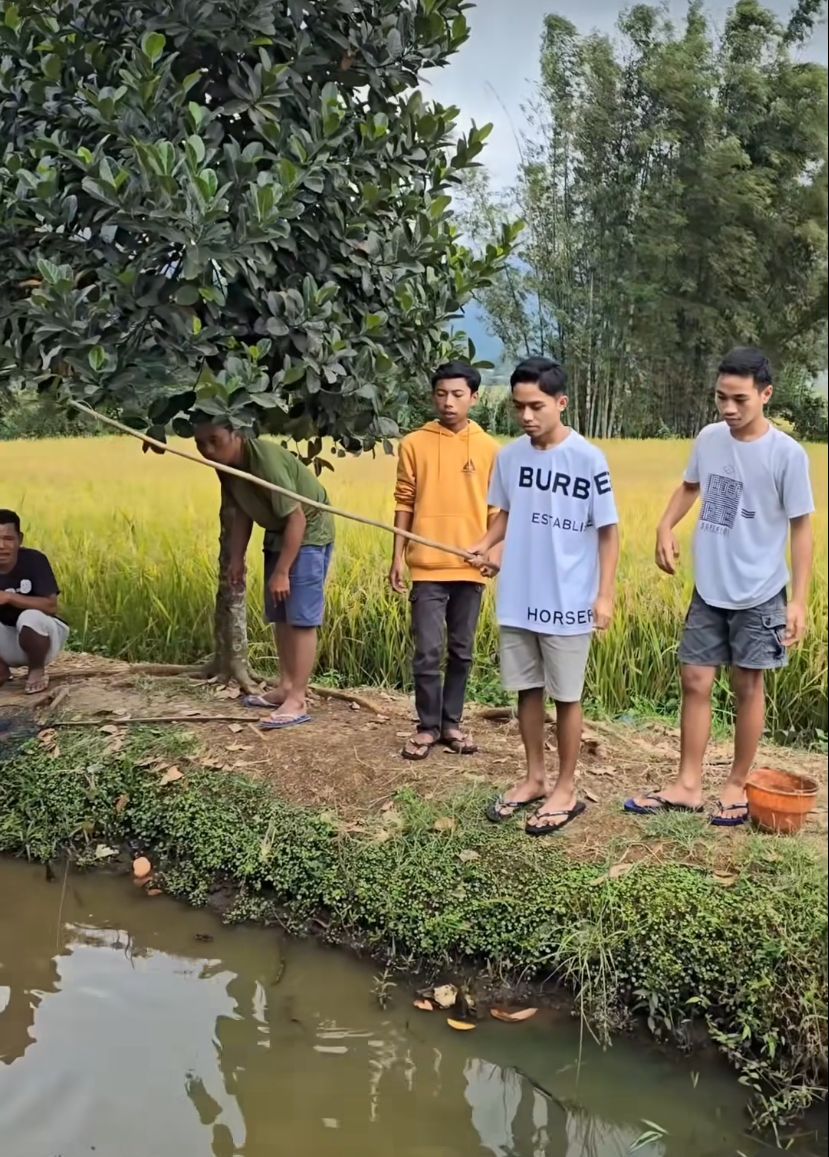 Betrand Peto Putra Onsu
