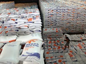 Bos Baru Bulog Pede Bisa Serap 3 Juta Ton Beras dalam 3 Bulan Bos Baru Bulog Pede Bisa Serap 3 Juta Ton Beras dalam 3 Bulan