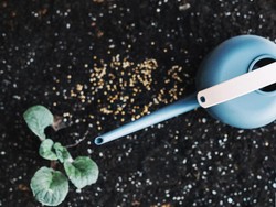 Cara Membuat Pupuk Organik Cair, Kelebihan dan Kekurangannya