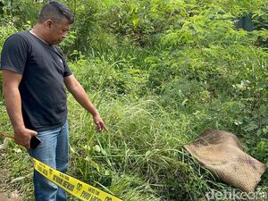 2 Minggu Hilang, Lansia di Jambi Ditemukan Tewas di Semak Pinggir Jalan