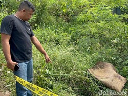 2 Minggu Hilang, Lansia di Jambi Ditemukan Tewas di Semak Pinggir Jalan