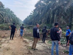 Pekerja Perkebunan di OKI Ditembaki OTK, Polisi: Lapor Jika Bukti Cukup Pekerja Perkebunan di OKI Ditembaki OTK, Polisi: Lapor Jika Bukti Cukup