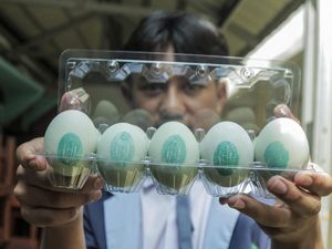 Lihat Lebih Dekat Produksi Telur Asin di Pesantren Lihat Lebih Dekat Produksi Telur Asin di Pesantren