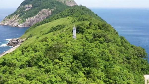 Potret Pulau Ular Misterius, Terlarang Karena Berbahaya