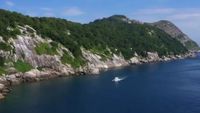 Mengintip Pulau Ular Misterius yang Terlarang Bagi Manusia