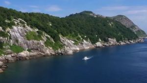 Mengintip Pulau Ular Misterius yang Terlarang Bagi Manusia