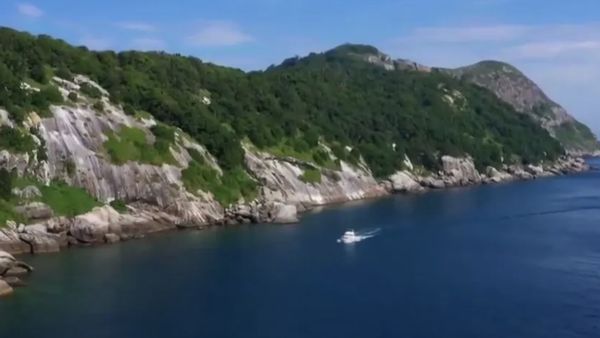 Mengintip Pulau Ular Misterius yang Terlarang Bagi Manusia