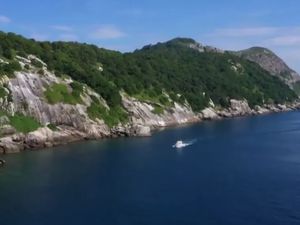 Mengintip Pulau Ular Misterius yang Terlarang Bagi Manusia