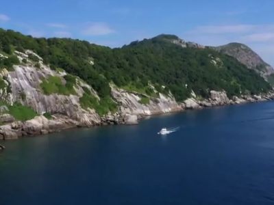 Mengintip Pulau Ular Misterius yang Terlarang Bagi Manusia