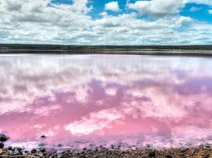 Danau Ini Berwarna Merah Muda Alami, Apa Sebabnya? Danau Ini Berwarna Merah Muda Alami, Apa Sebabnya?