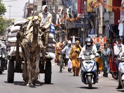 Suhu Panas India Makin Parah! Nyaris 50 Derajat Celcius, 13 Orang Meninggal