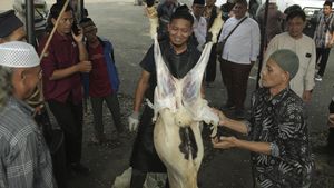 Intip Pelatihan Penyembelihan Hewan Kurban di Sukabumi