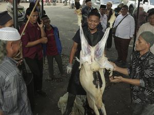 Intip Pelatihan Penyembelihan Hewan Kurban di Sukabumi