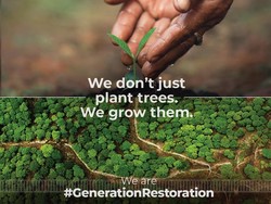 5 Juni Hari Lingkungan Hidup Sedunia, Ini Sejarah dan Temanya