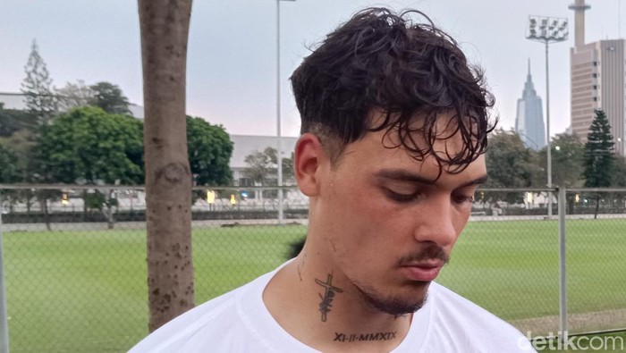 Shayne Pattynama, Timnas Indonesia Shayne Pattynama, pemain timnas Indonesia