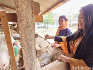 Kini Berpenampilan Syari, SPG Kambing Kurban Bantul: Tidak Masalah Kini Berpenampilan Syari, SPG Kambing Kurban Bantul: Tidak Masalah
