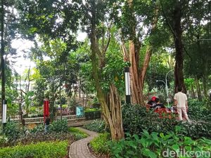 Menyesap Keteduhan Kala Senja di Taman Maluku Bandung Menyesap Keteduhan Kala Senja di Taman Maluku Bandung