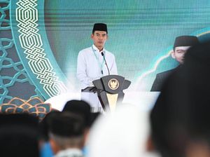 MUI: Ternak Diberi Pakan Campuran Darah Babi Tak Bisa Disertifikasi Halal