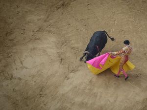 Kolombia Bakal Larang Adu Banteng, Kenapa?