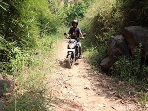 Kades Buka Suara Soal Nenek Ditandu Bambu gegara Jalan Rusak di Ponorogo