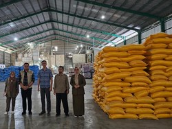 Satgas Pangan Polri Ungkap Penyebab Stok Gabah-Beras Menurun di Sulsel