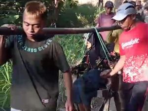 Perjuangan Warga Bawa Nenek Ditandu Bambu Turuni Jalan Terjal Demi Berobat Perjuangan Warga Bawa Nenek Ditandu Bambu Turuni Jalan Terjal Demi Berobat