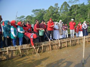 Walkot Semarang Dorong Anak Muda Jadi Agen Ketahanan Pangan