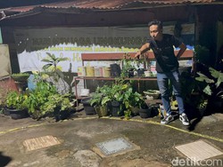 Pria di Jambi Ditikam 9 Kali hingga Tewas, Diduga Dendam Lama Rekan Kerja